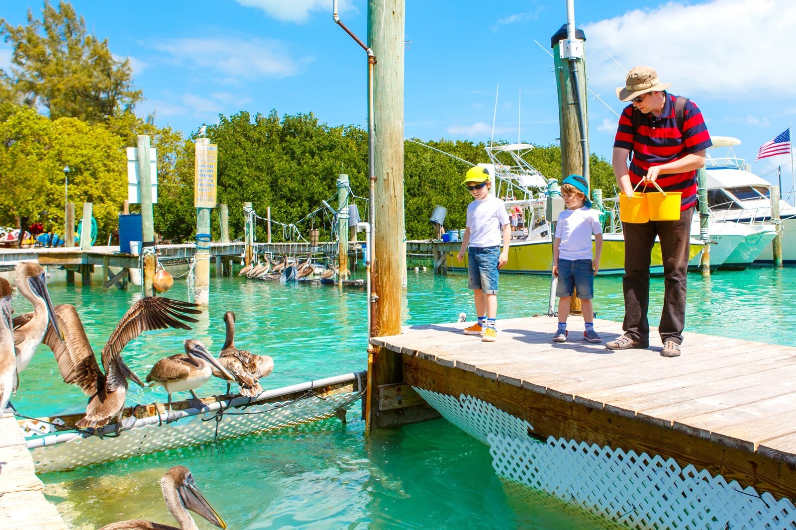 7 Best Family Things To Do In Florida Keys Fun Places In The Florida 