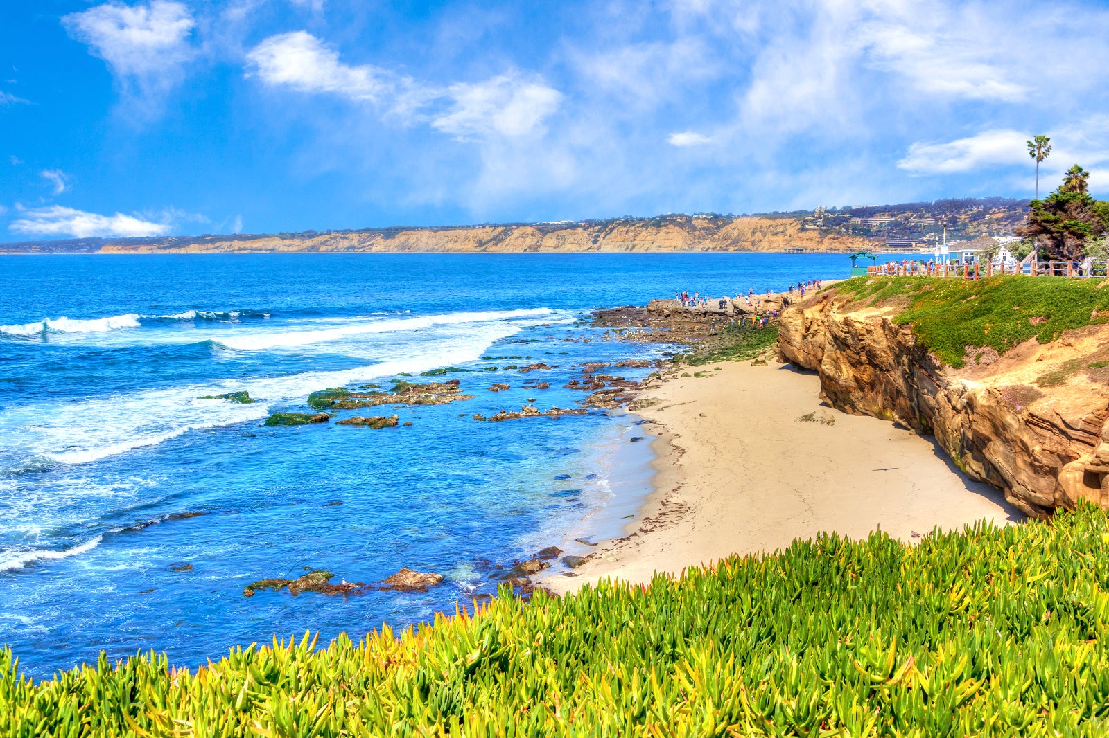 10 Best Beaches In San Diego Which San Diego Beach Is Right For You 