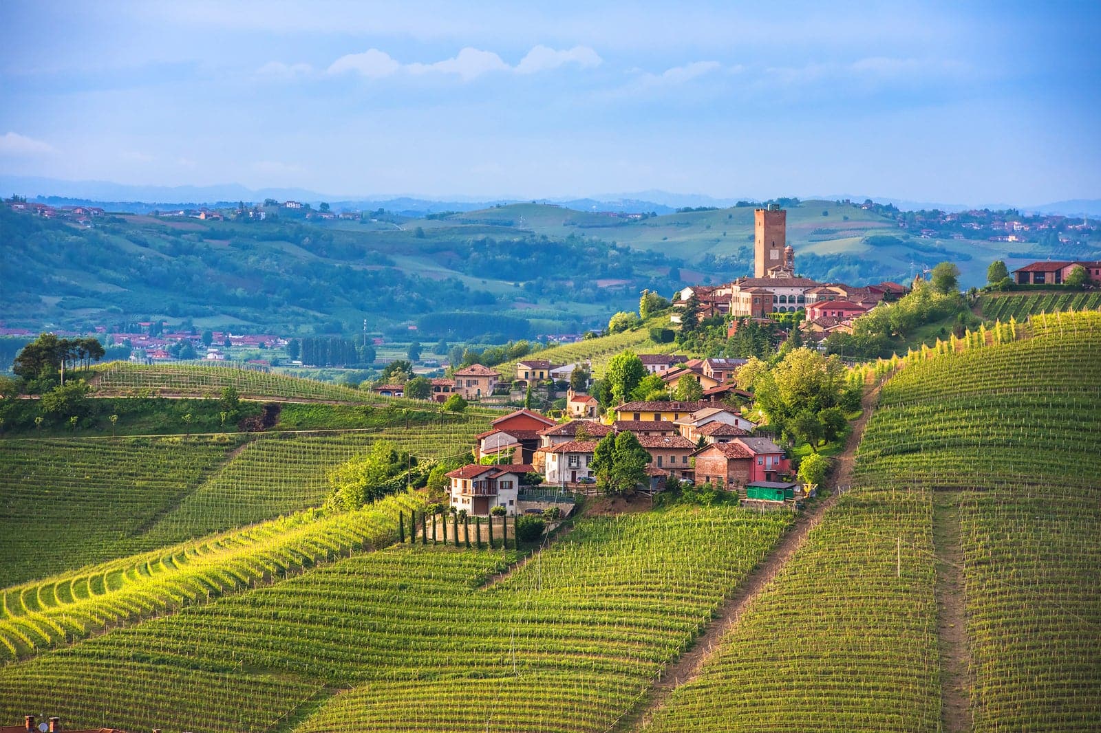 Piedmont What you need to know before you go Go Guides Piedmont What you need to know before you go Go Guides