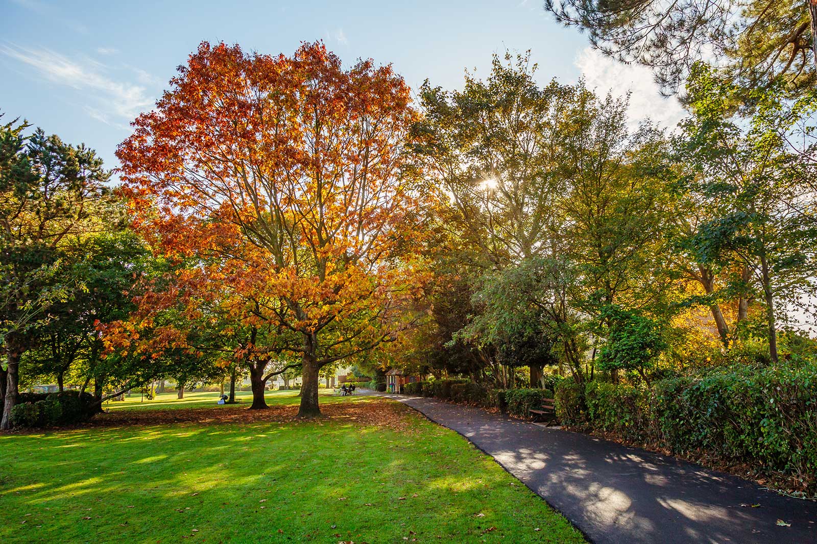 10 Best Parks in Newbury Explore Newbury's Most Beautiful Outdoor