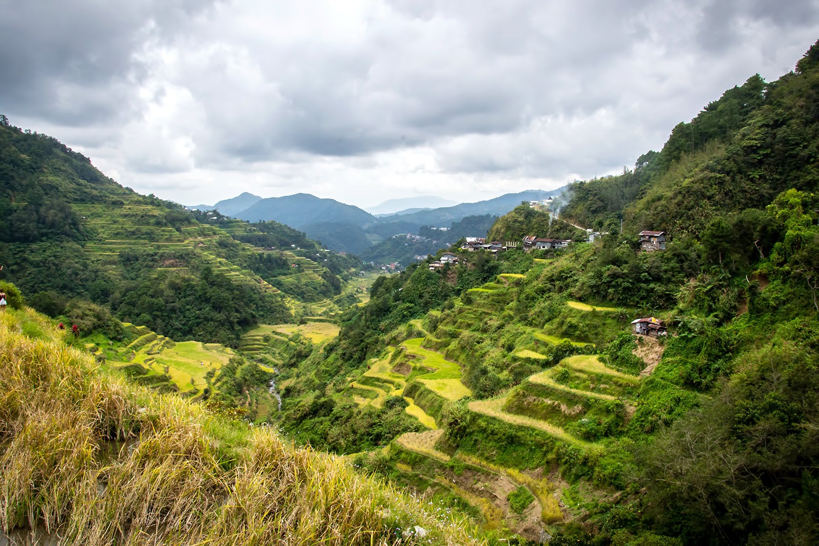 banaue rice terraces tour from baguio