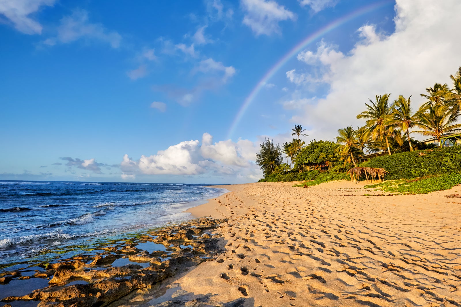 リトグラフ Sunset.Beach.Hawaii | guelcan-arslan.de