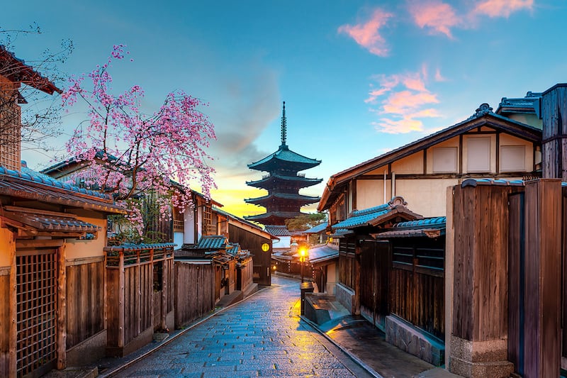 f52a72c4-4a59-40bf-bafe-30c5b2231fa4.jpg (800×533)