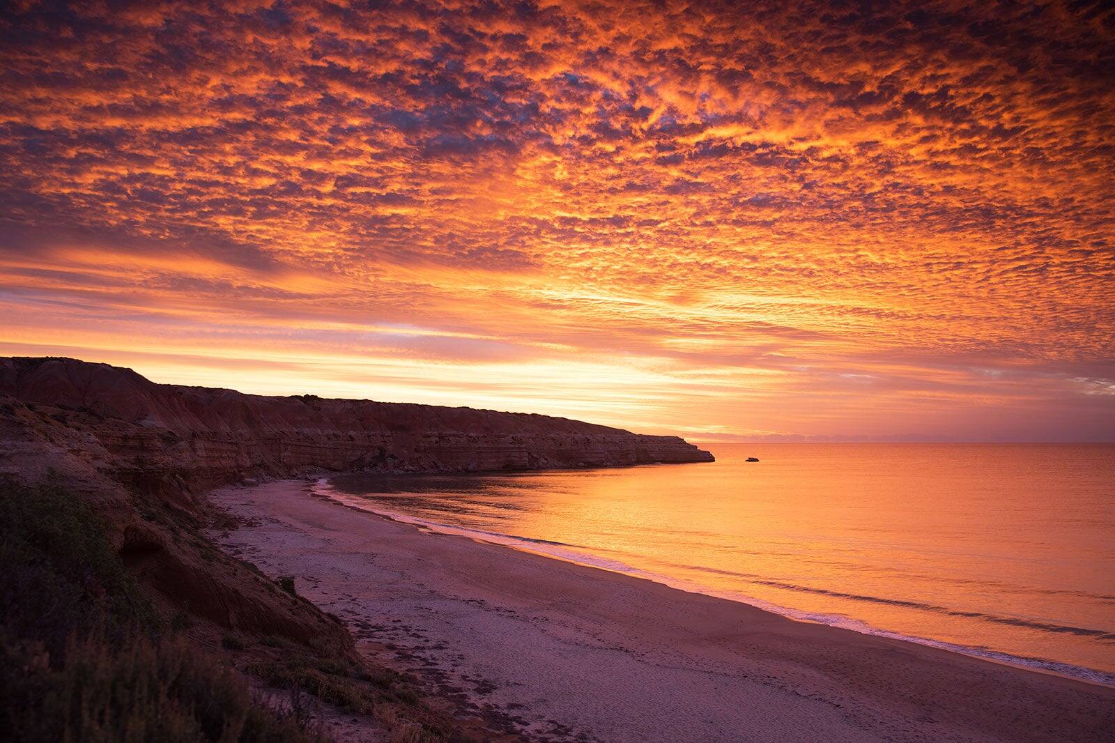 10 Best Beaches in Adelaide - What is the Most Popular Beach in ...