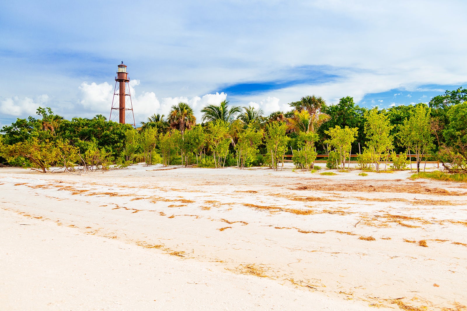 10 Best Things to Do on Sanibel Captiva Island Discover the Top