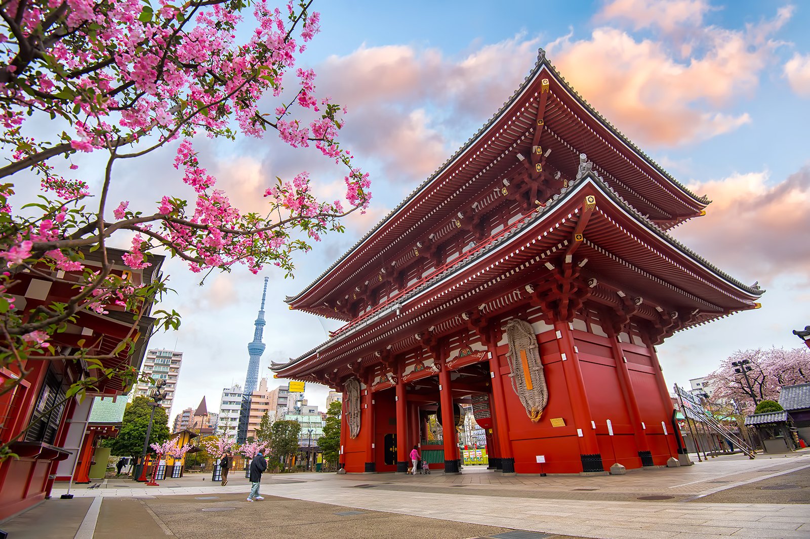 japan and korea tours from canada