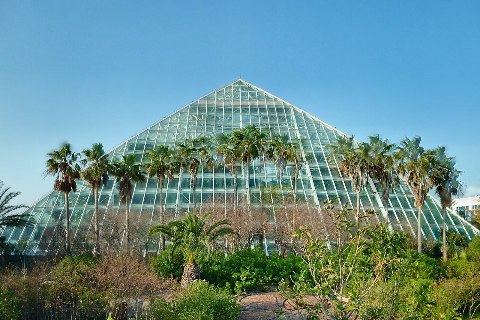 10 Best Things to Do in Galveston What is Galveston Most Famous For