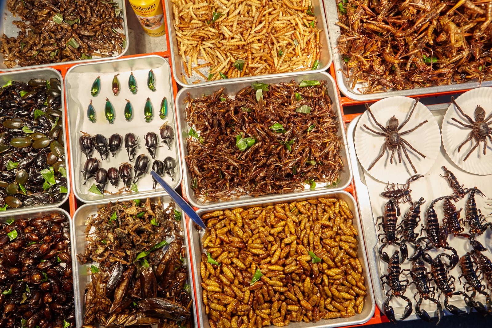 Eating Insects In Bangkok And Where To Find Them Bangkok Unusual