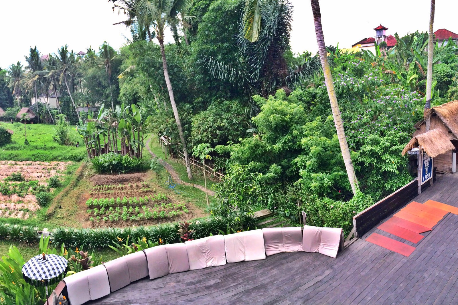 Бали студия. Yoga Barn Ubud. Yoga place in Garden.