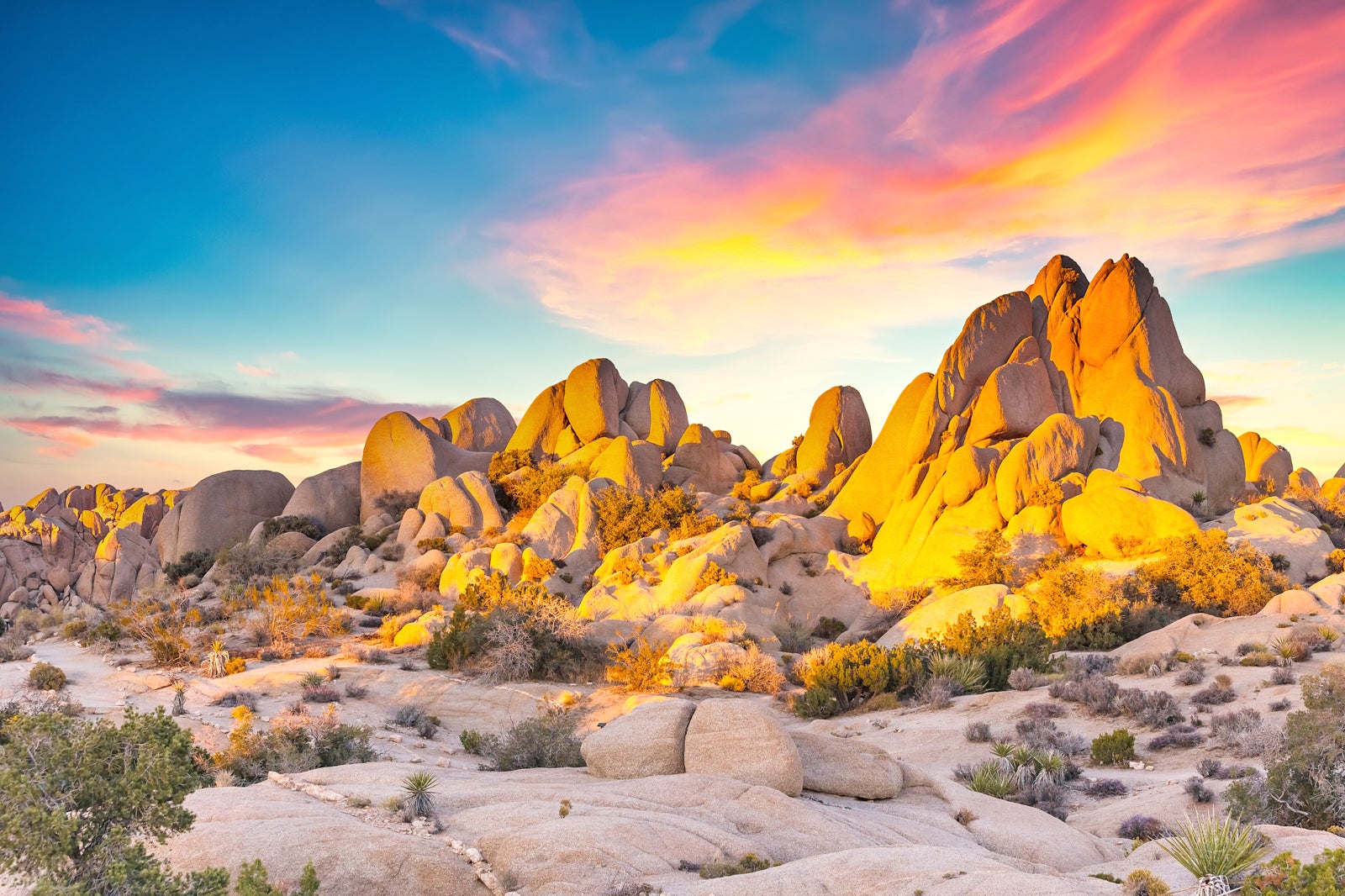 Joshua Tree National Park Vast Desert Terrain And Stargazing Spot In Joshua Tree National Park Vast Desert Terrain And Stargazing Spot In