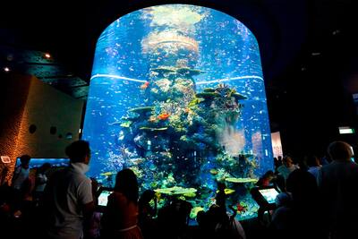 シンガポールでおすすめの料理ベスト 15 シンガポールでおすすめのグルメ Go Guides