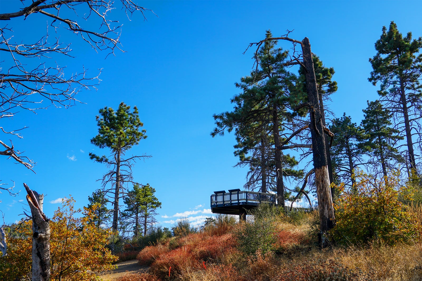 Cleveland National Forest near San Diego Sprawling Natural Landscape