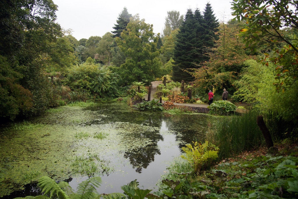 Ness Botanic Gardens in Liverpool An Outstanding Horticultural