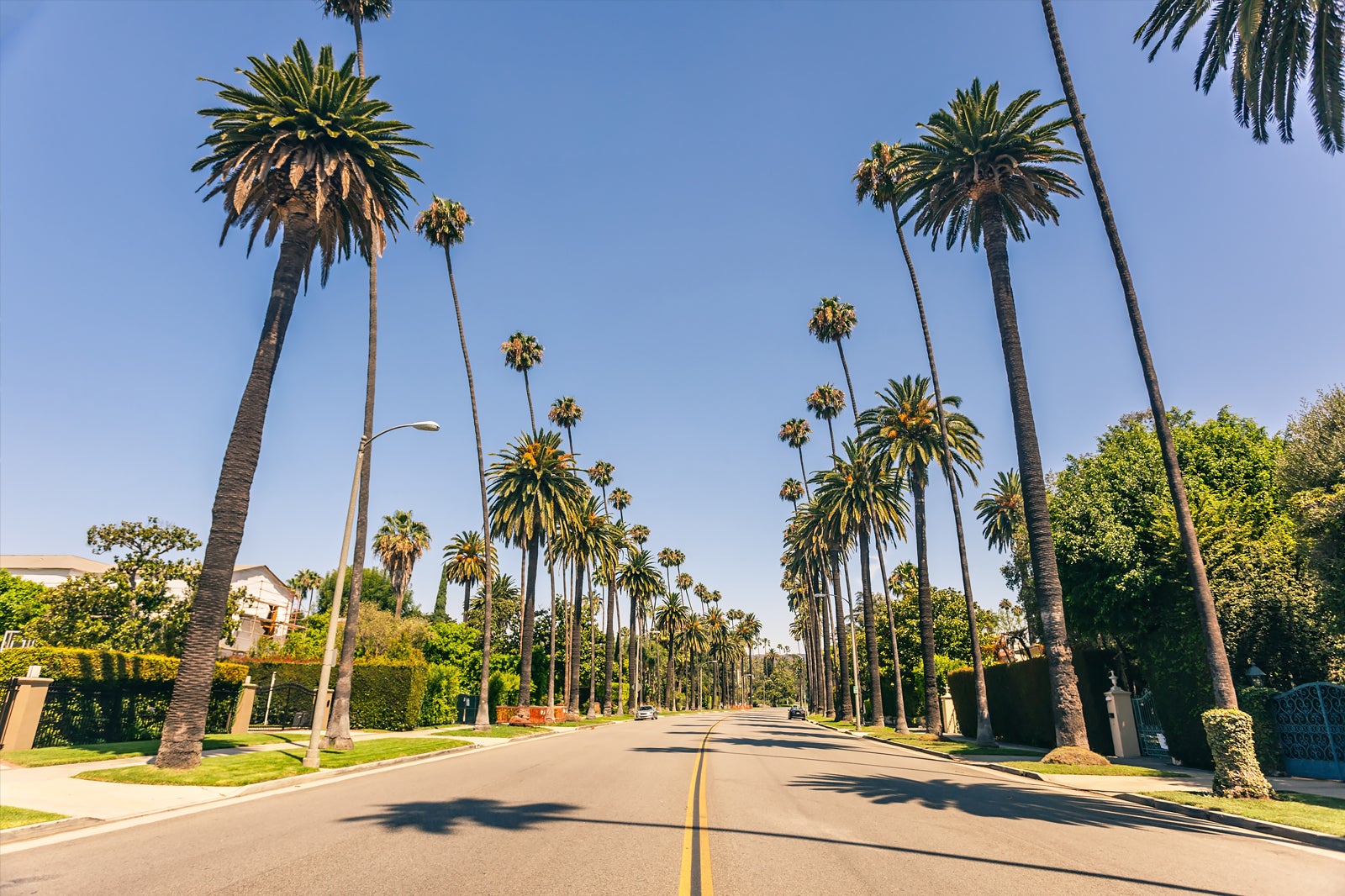 mulholland drive road trip