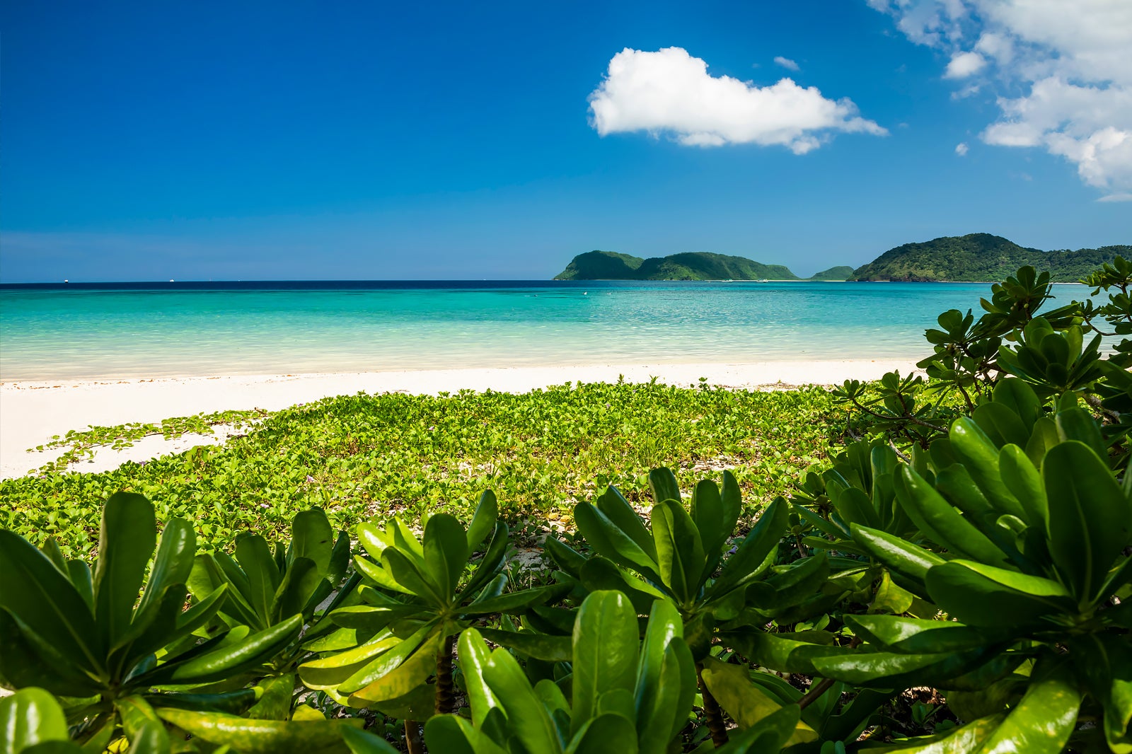 10 Best Islands in Okinawa - What Is the Most Popular Island in Okinawa ...