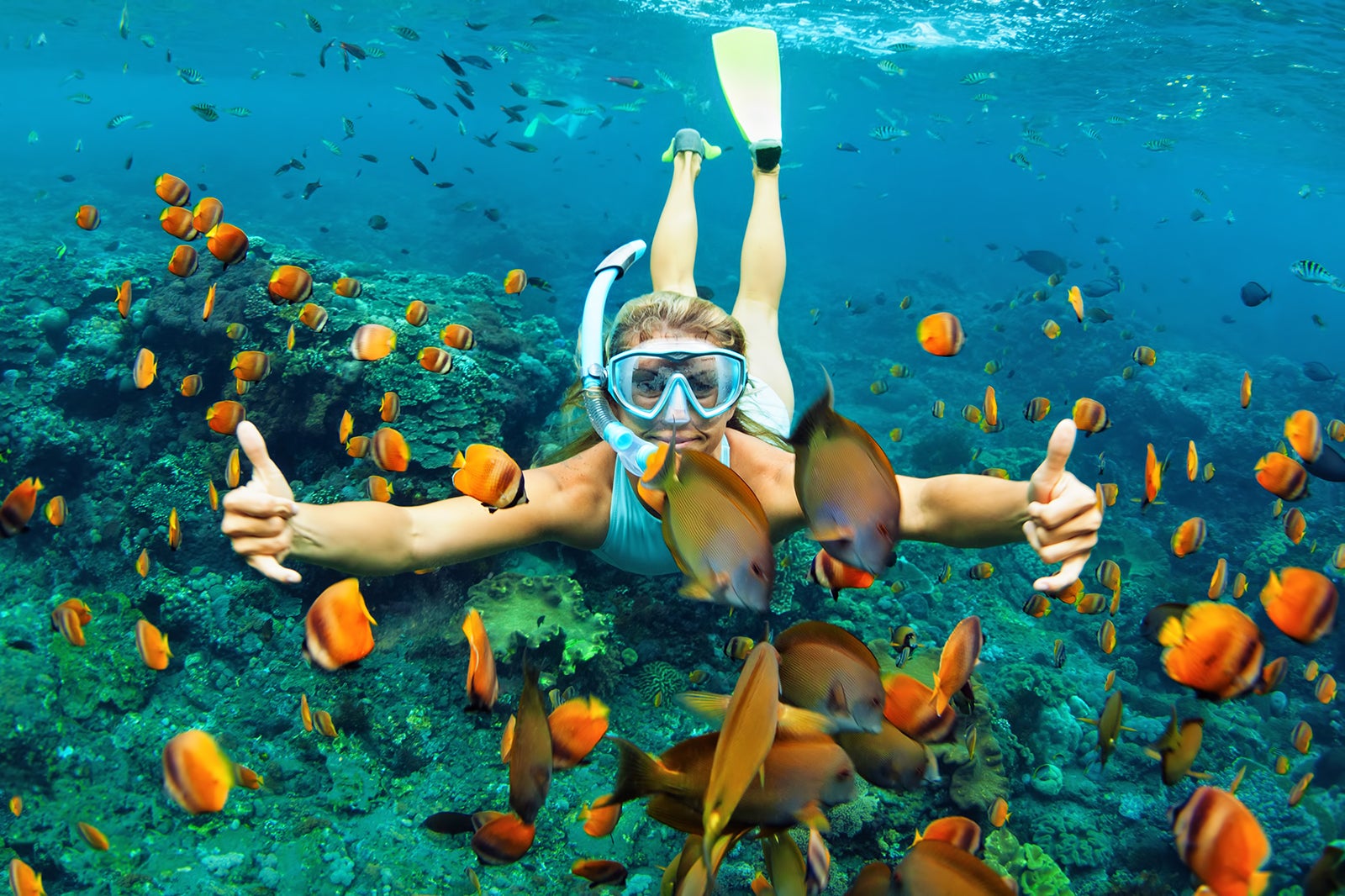 Snorkeling Coral Reef