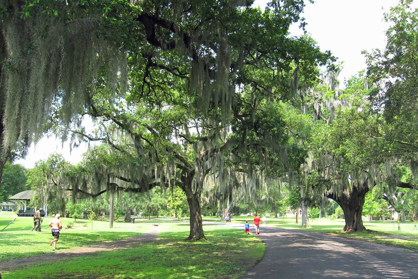 6 Things to Do in New Orleans in Spring - What Not to Miss on a Spring ...