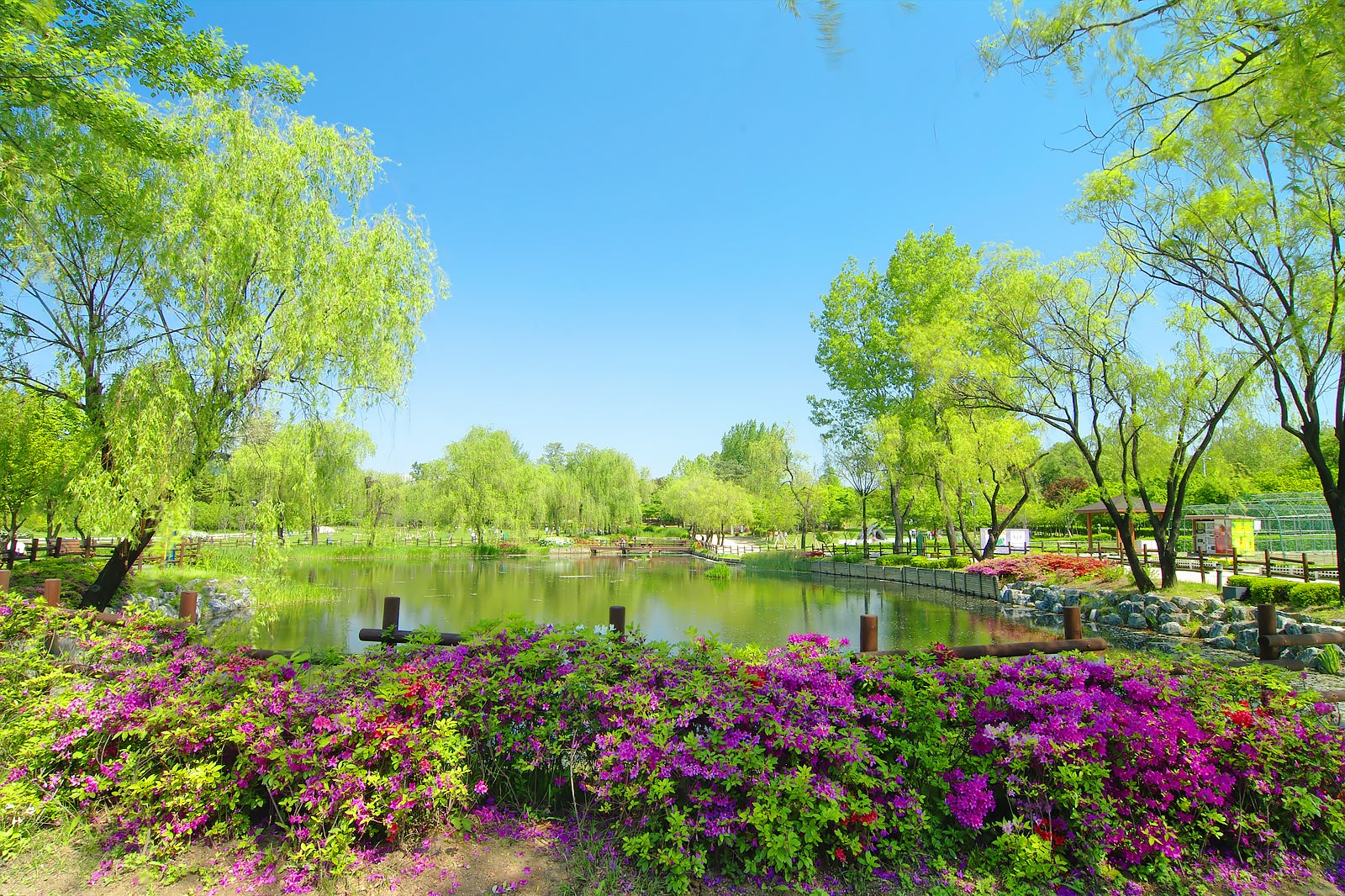 서울의 공원 베스트 10 서울에서 가장 아름다운 야외 공간 Go Guides