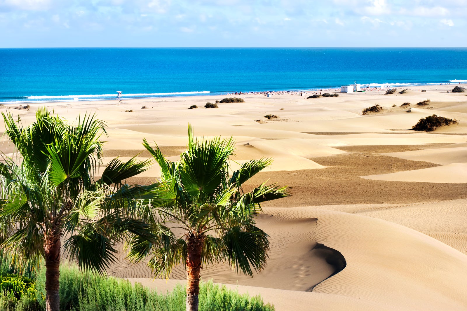 Maspalomas Beach In The Canary Islands Find Fun Among Golden Sands Maspalomas Beach In The Canary Islands Find Fun Among Golden Sands