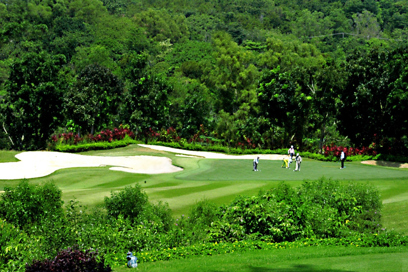 12 Best Golf Courses In Singapore Where To Play Golf In Singapore