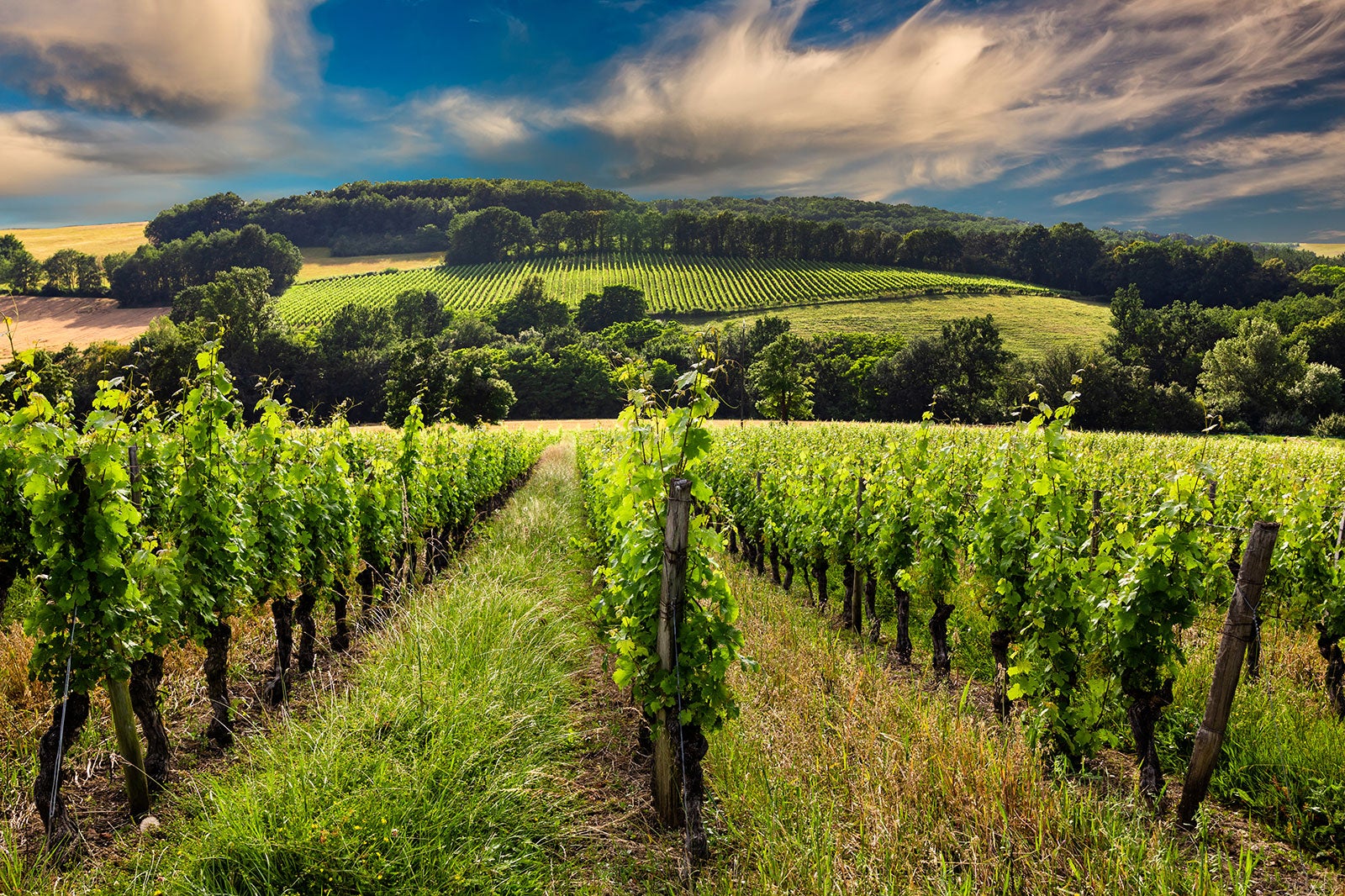 10 Best Wine Regions in France Escape to France's Most Beautiful Wine