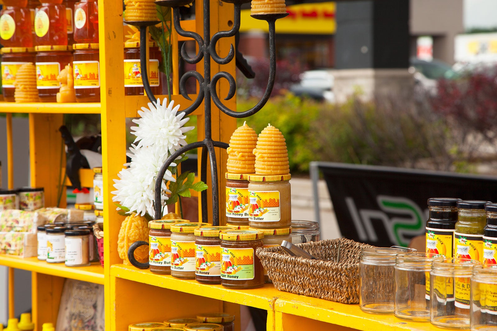 10 Best Places to Go Shopping in Chattanooga Where to Shop and What