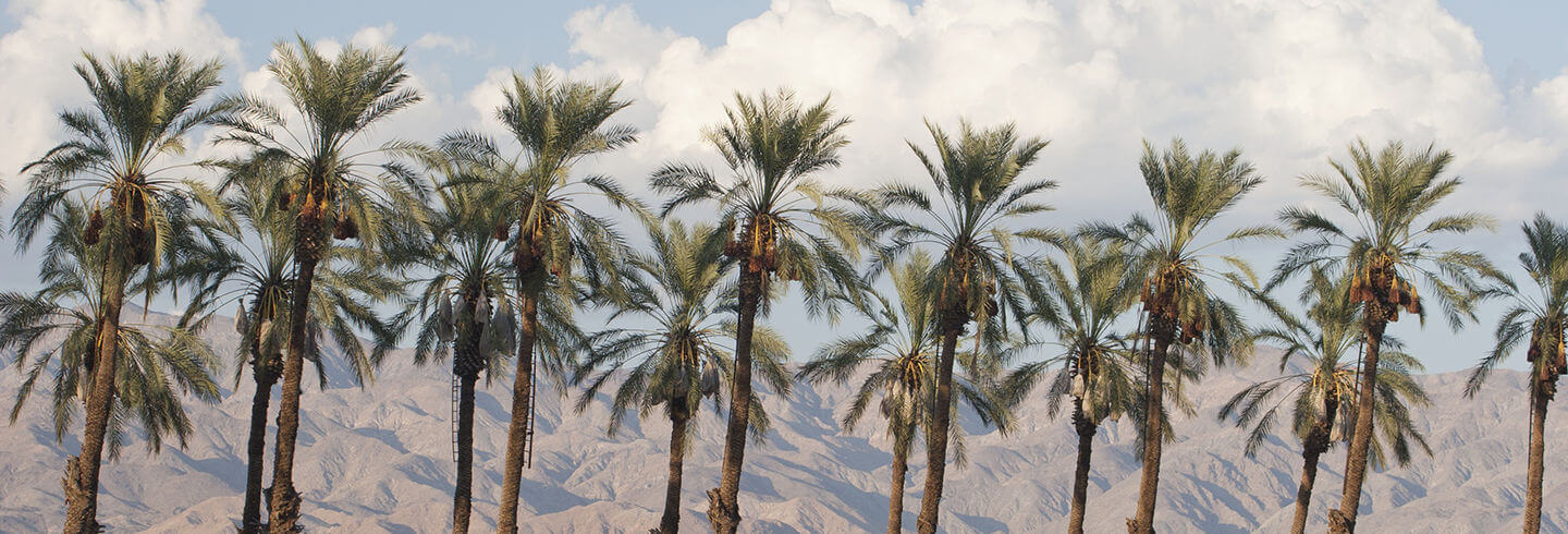 Palm Springs, Kalifornija, Sjedinjene Američke Države