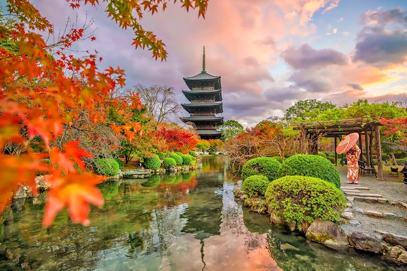 Japan What you need to know before you go Go Guides Japan What you need to know before you go Go Guides