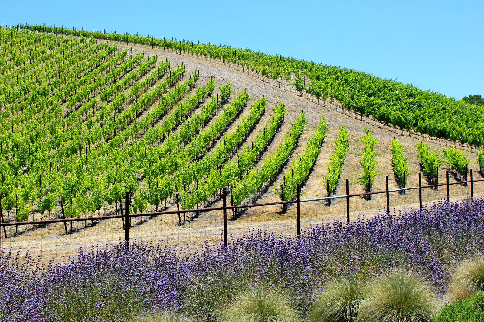 10 Best Wineries in Kelowna Where to Go in Kelowna for a Great Glass