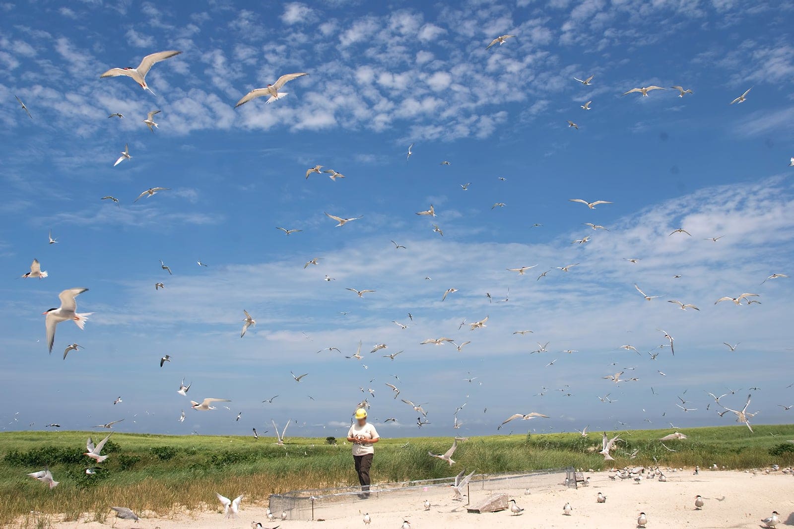 10 Best Things to Do in Cape Cod - What is Cape Cod Most Famous For ...