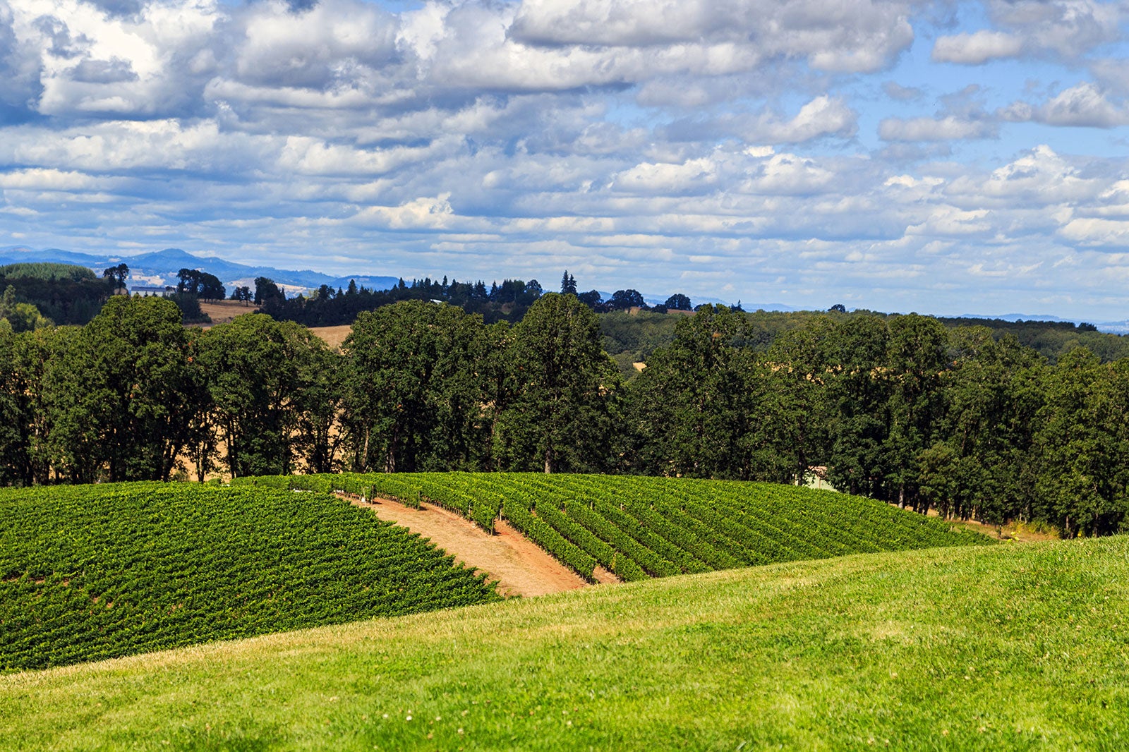 10 Travel Destinations in the US Discover the Next Hot