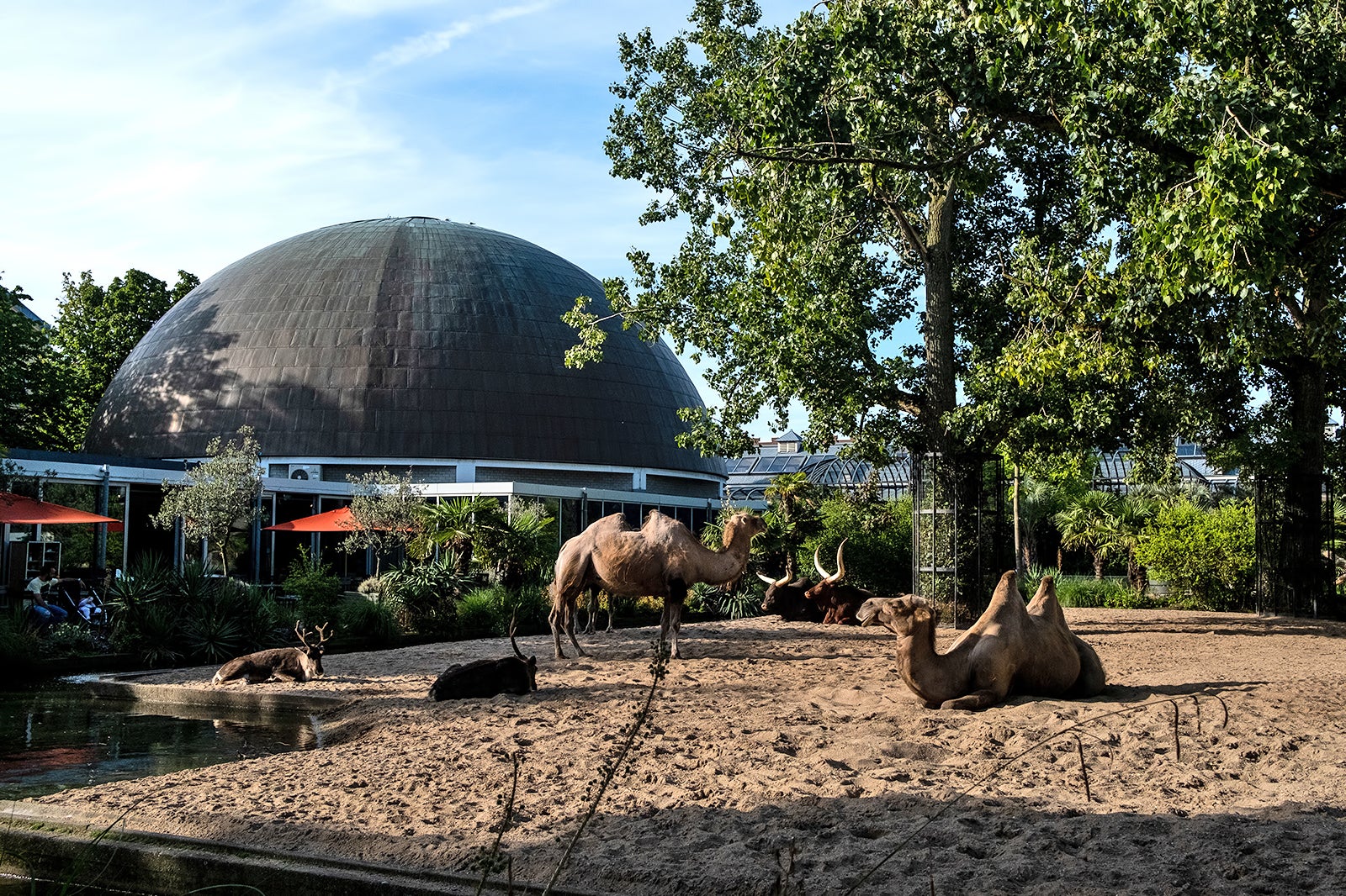 ARTIS Zoo in Amsterdam - The Netherlands' Oldest Wildlife Sanctuary ...