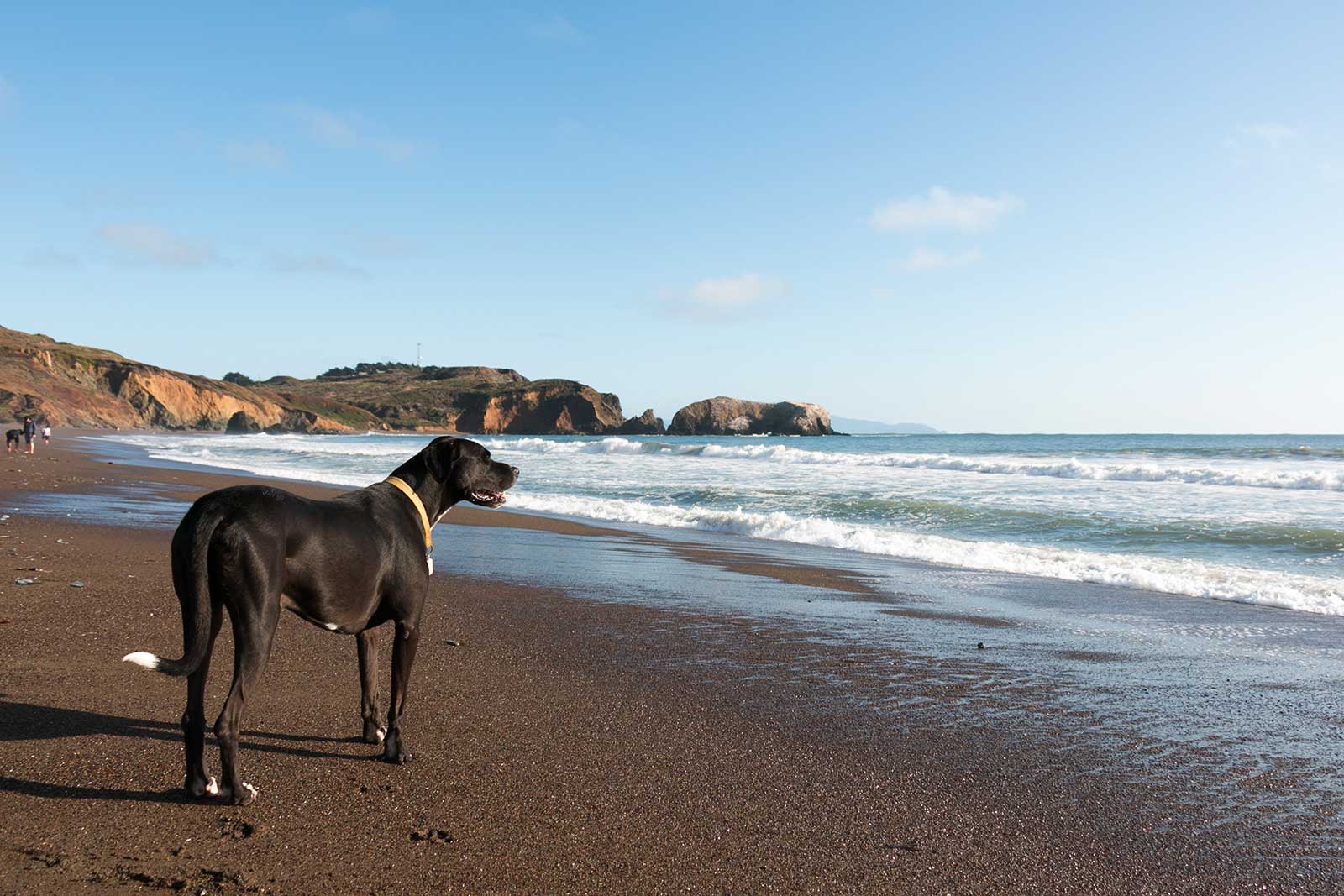 10 Best Beaches In Brisbane - What Is The Most Popular Beach In ...