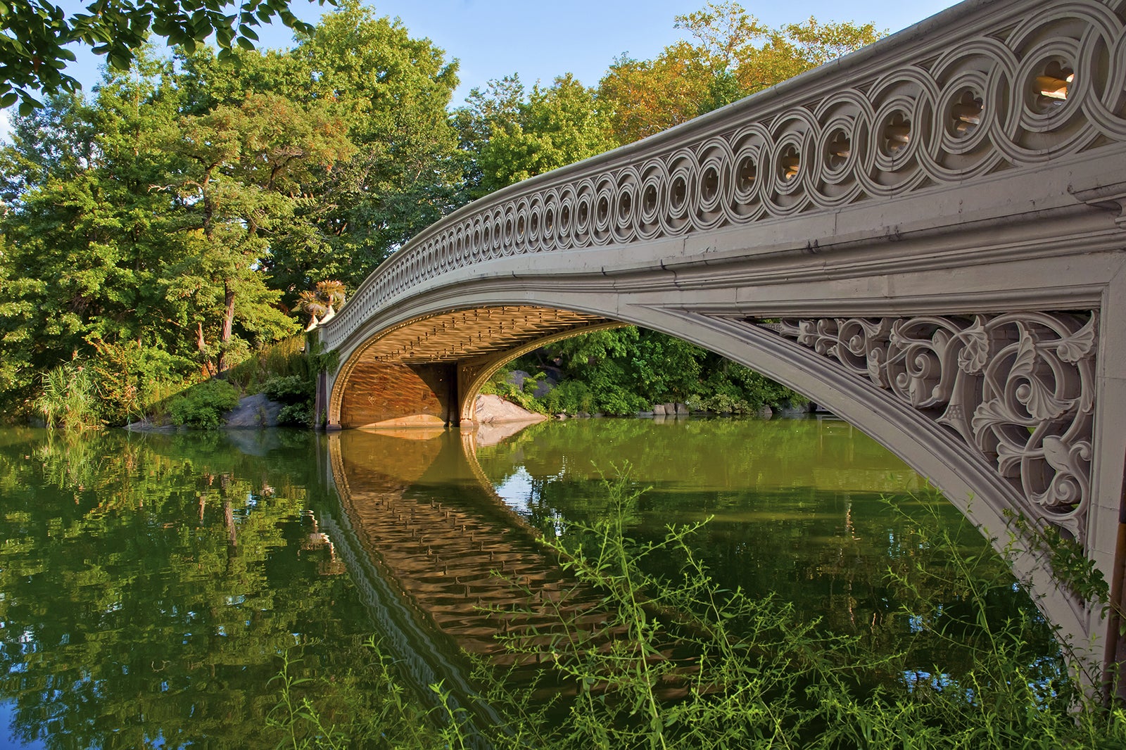 Central Park In New York - A Botanical Oasis In New York City - Go Guides