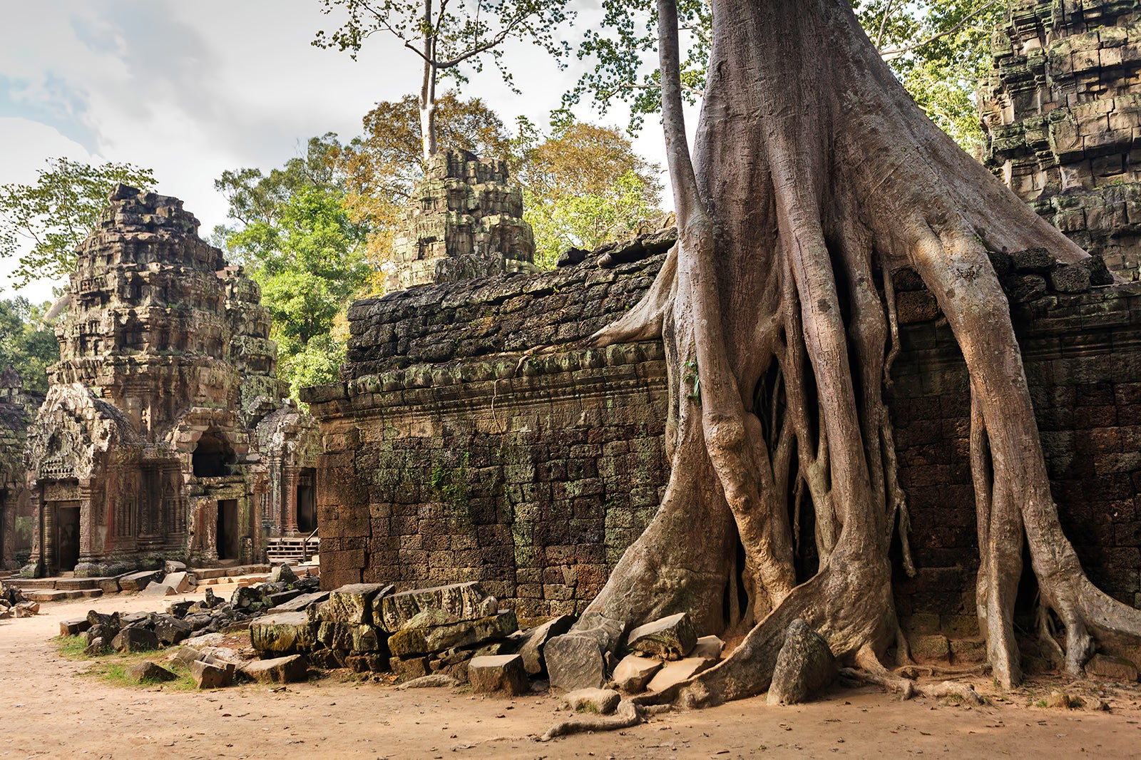 Ta Prohm – Siem Reap, Cambodia - Atlas Obscura