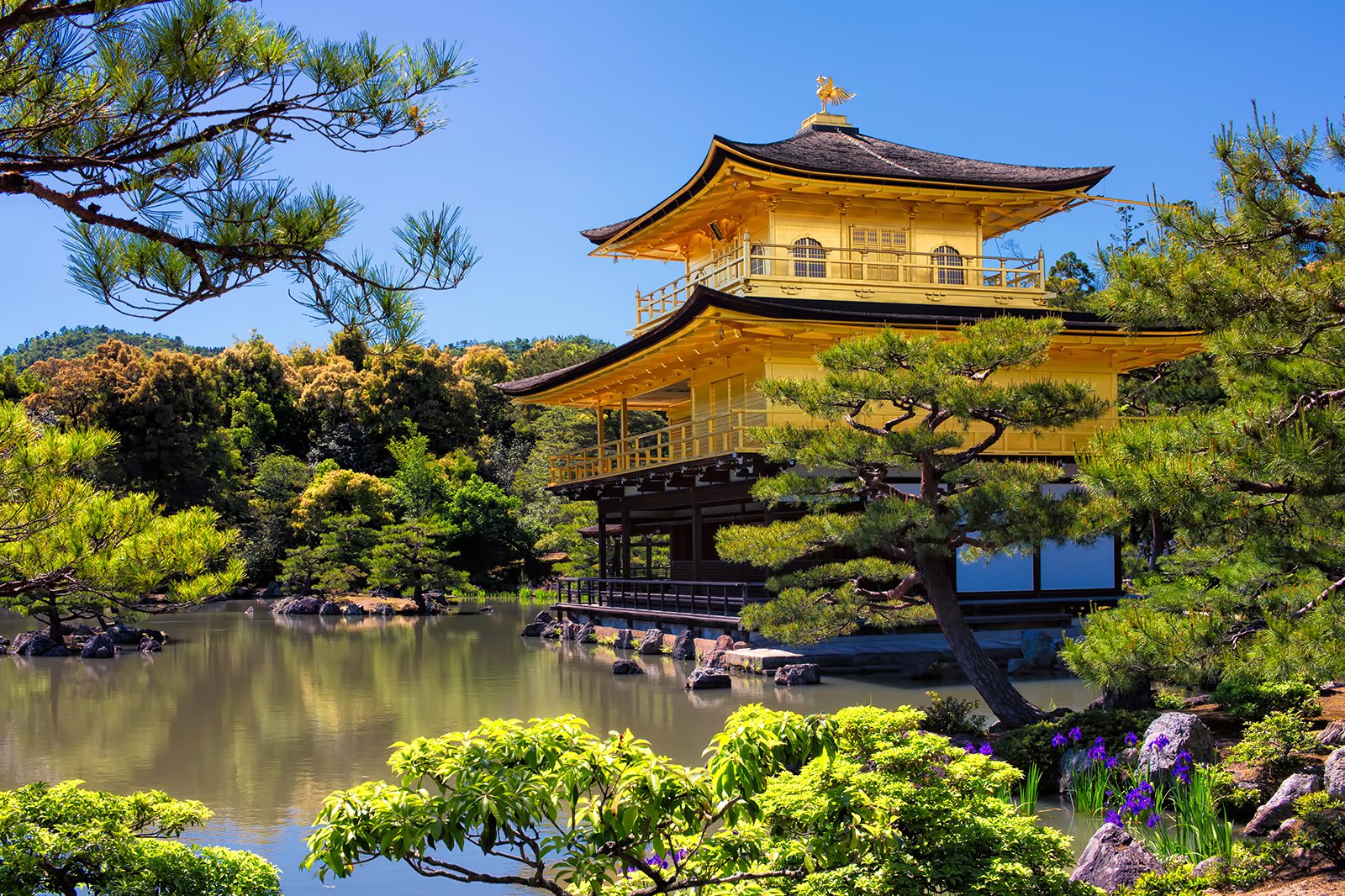 Kinkakuji Temple   UNESCO World Heritage Site In Kyoto   Go Guides