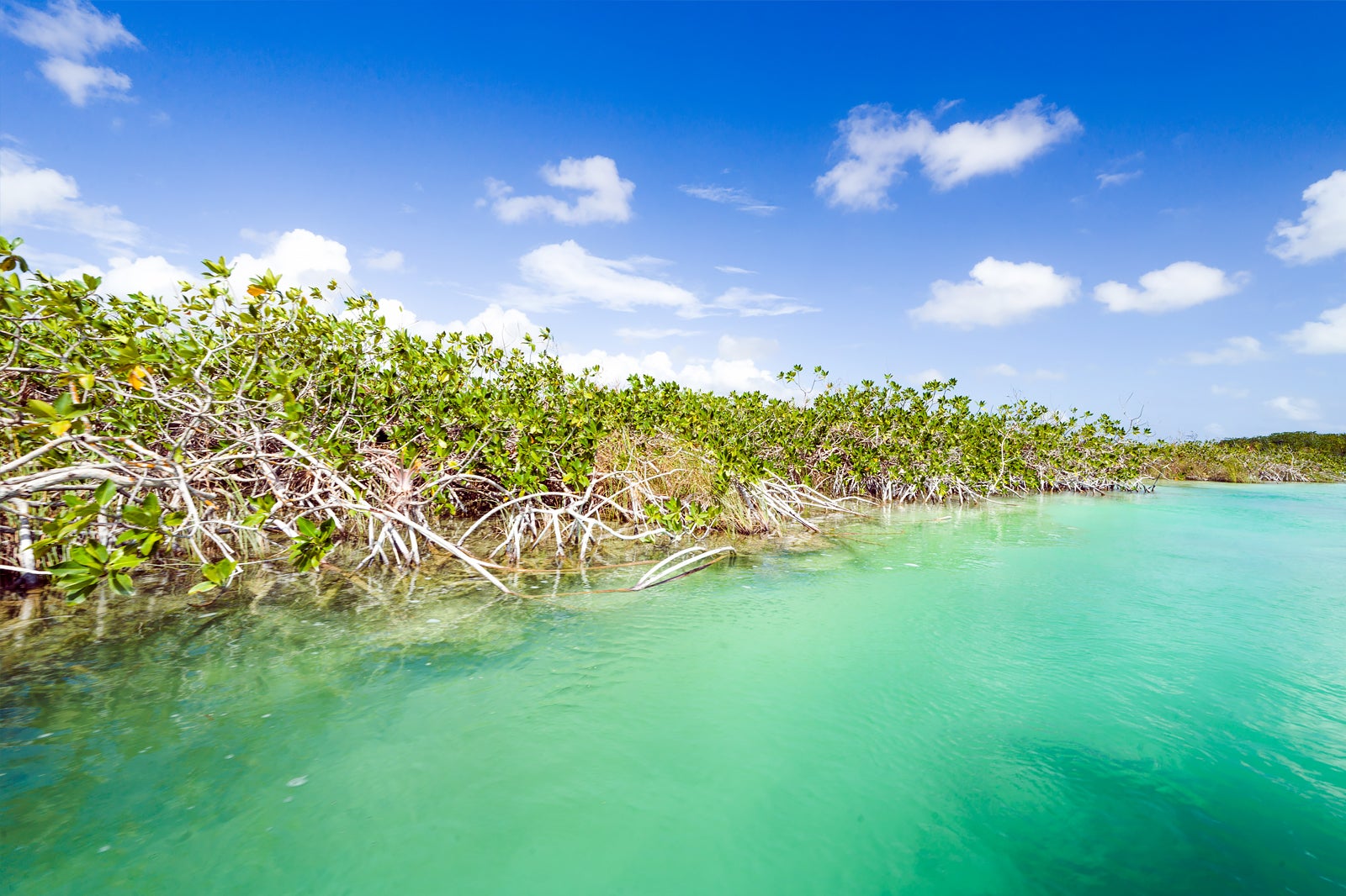 Exploring the Exotic Wildlife of Mexicos Sian Kaan Biosphere Reserve