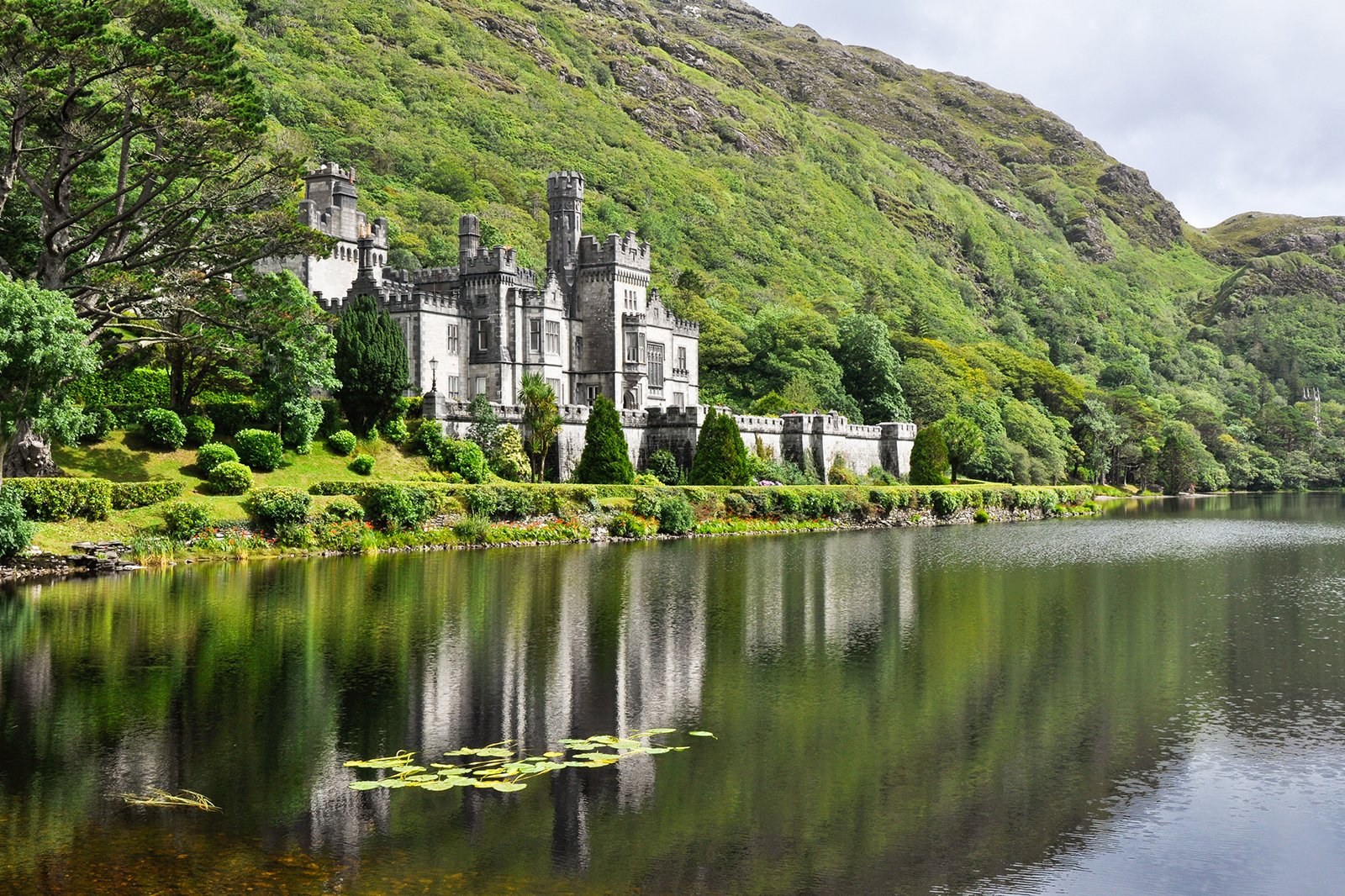 Ireland AricRaheeb