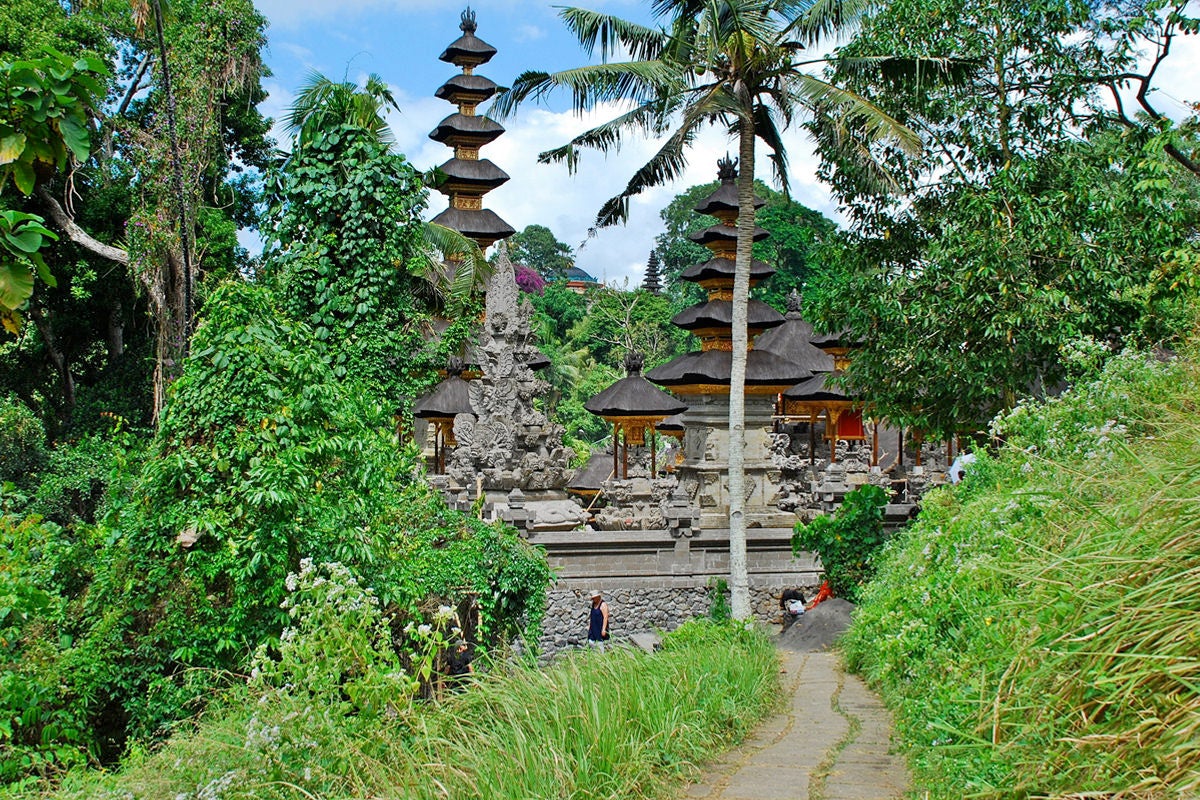 Campuhan Ridge Walk in Bali - Scenic Mountain Valley and Hiking Trail in  Ubud - Go Guides