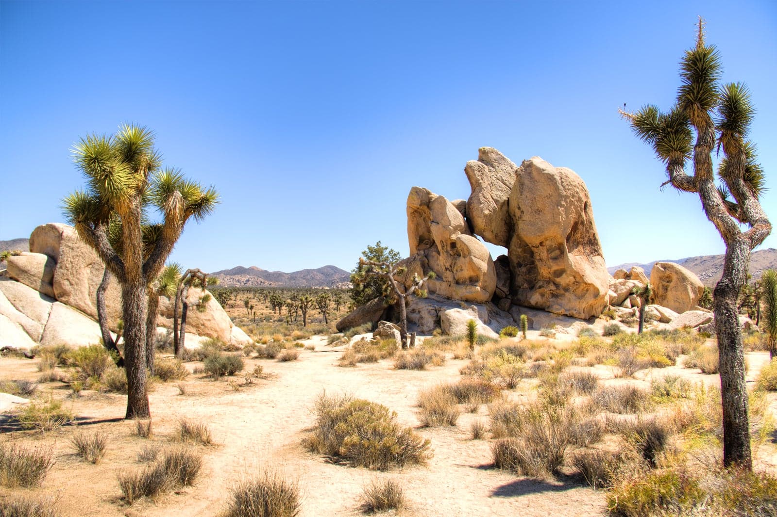 9 Best Things to Do in Palm Springs - What is Palm Springs Most Famous ...