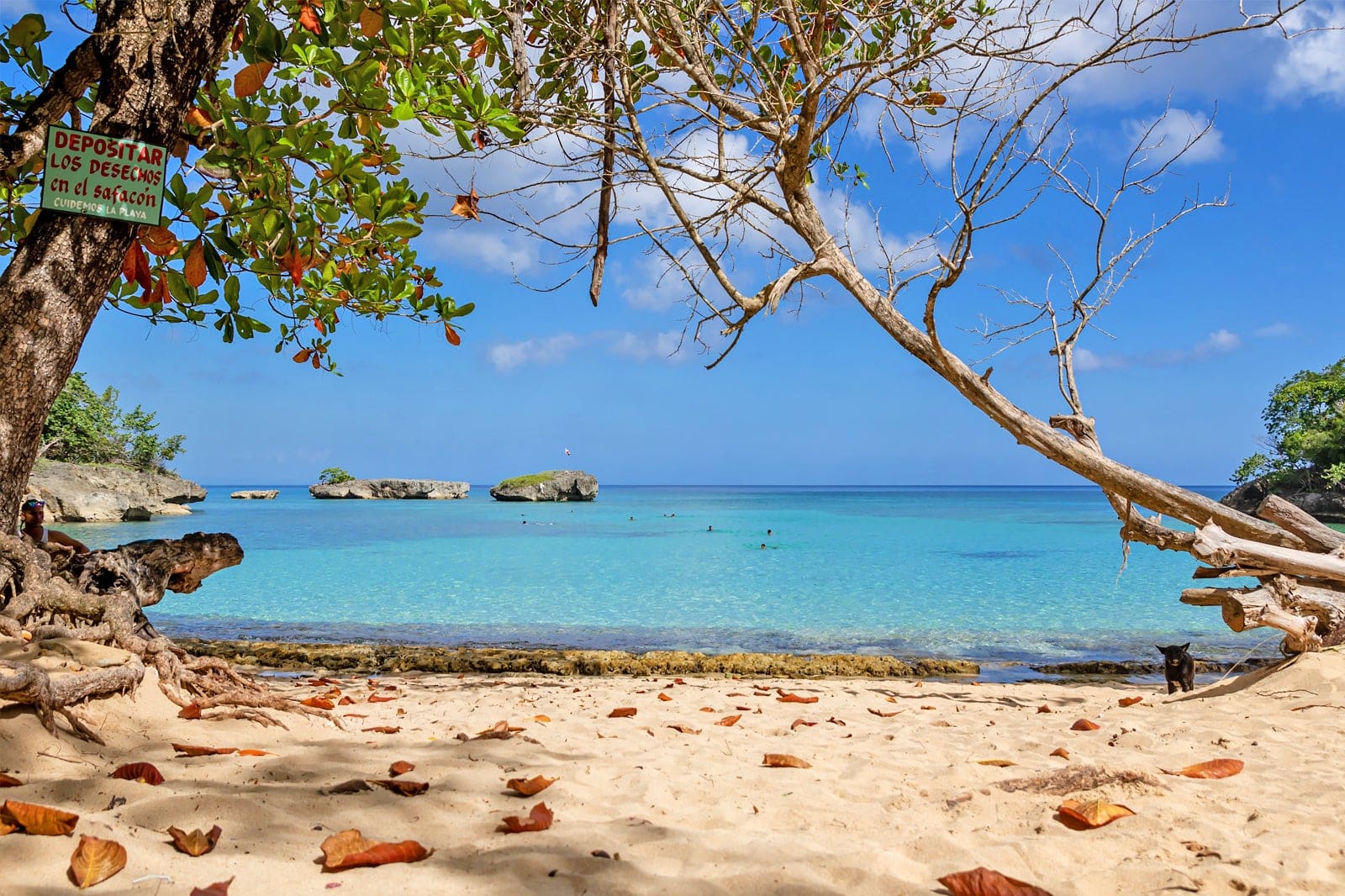 11 Best Beaches in the Dominican Republic - What is the Most Popular ...