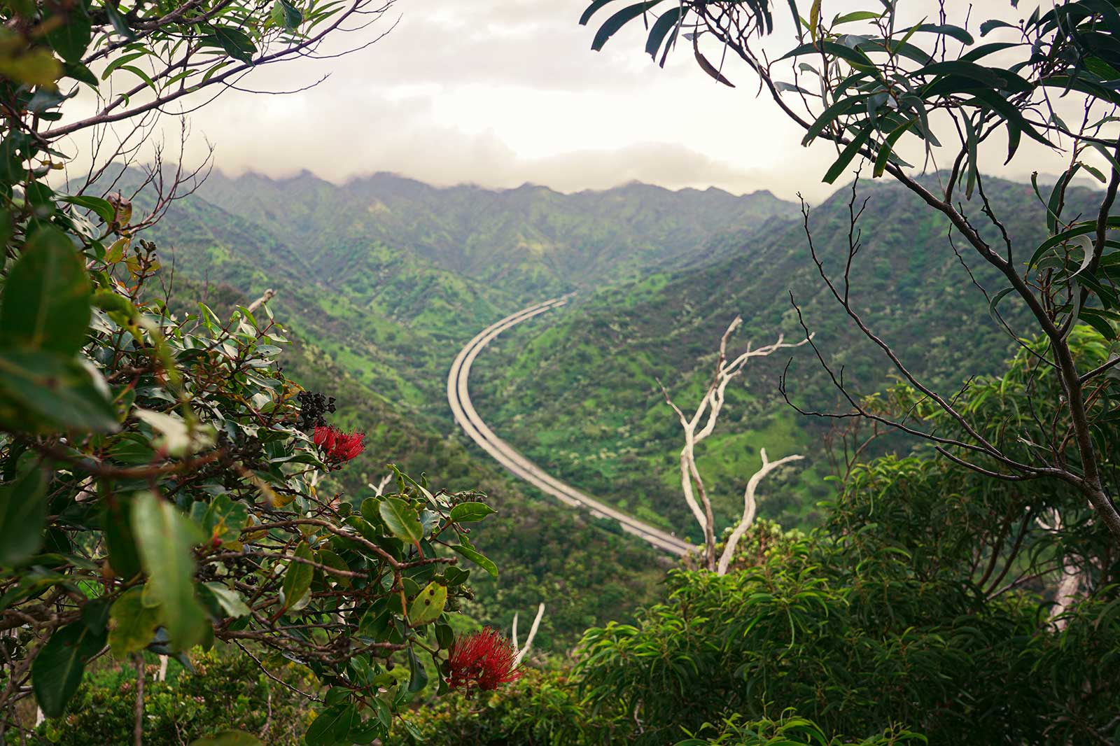 10 Best Hiking Trails in Oahu Take a Walk Around Oahu’s Most Beautiful Landscapes Go Guides