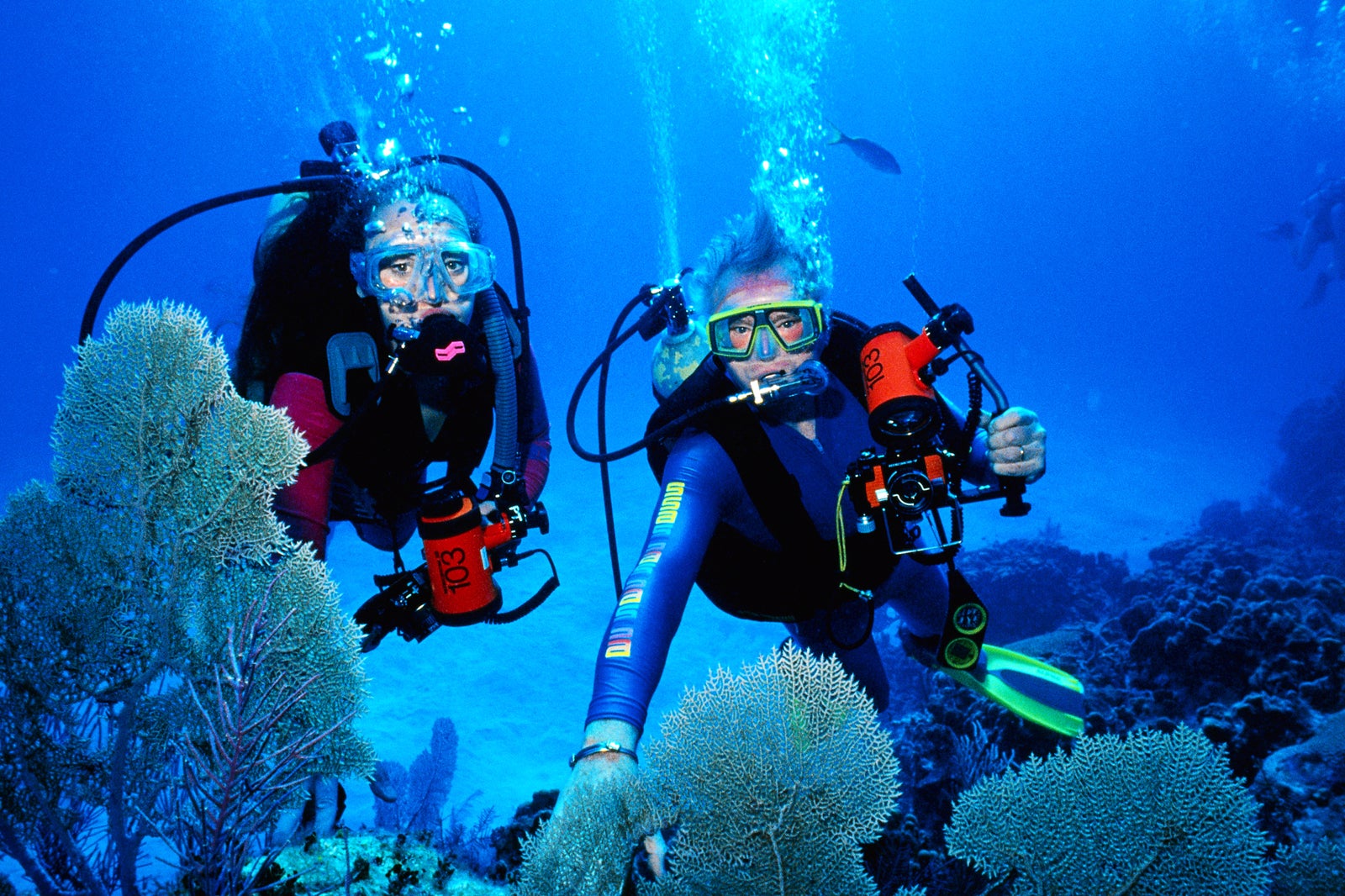 diving tourism definition