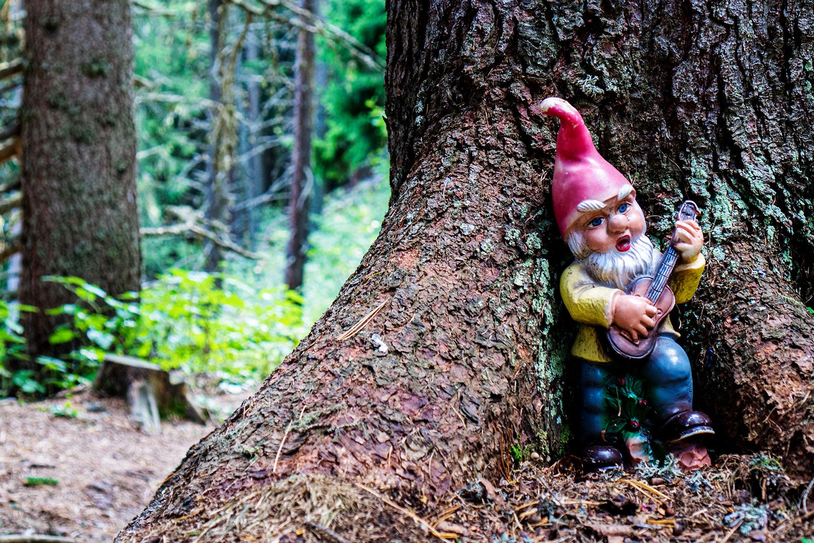 10 Best Hidden Gems in Maine Cool Places in Maine You Might Not Know