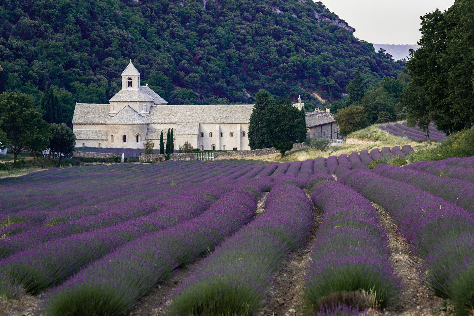 10 Best Places to Visit in Provence What is Provence Most Famous For
