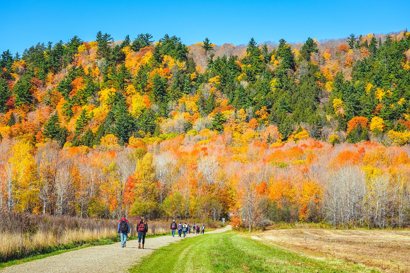 10 Best Road Trips Near Quebec City Escape to Quebec This Weekend