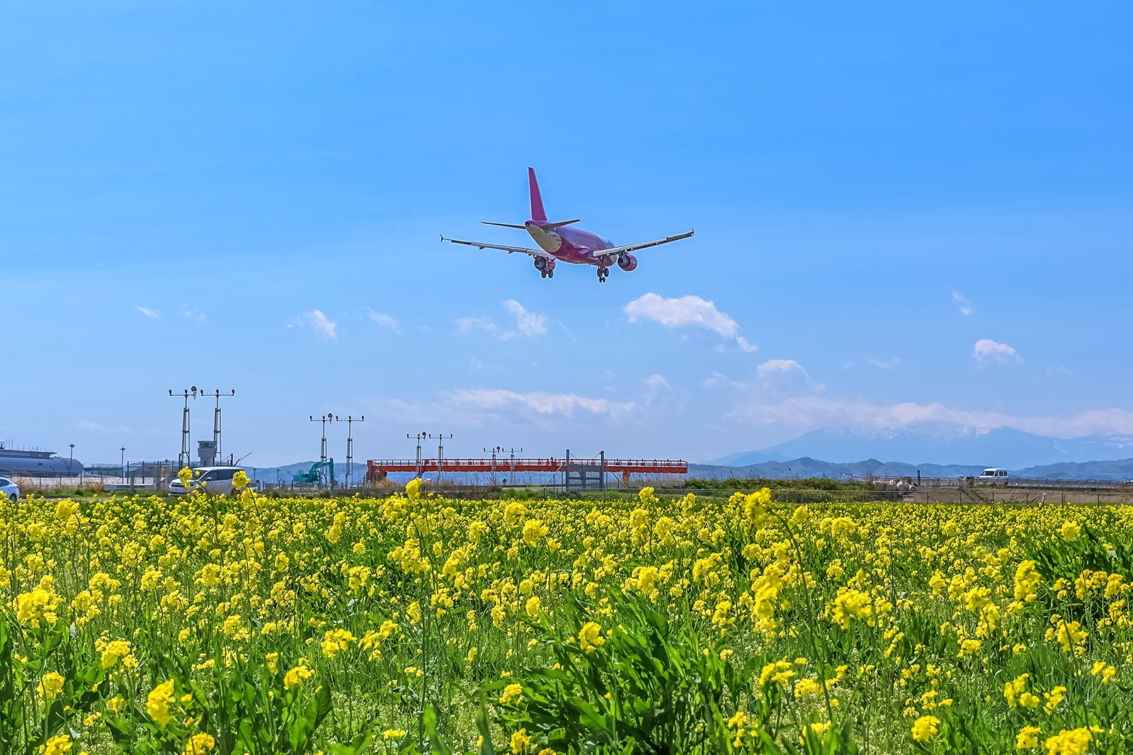 sendai-travel-essentials-useful-to-help-you-start-your-trip-to-sendai