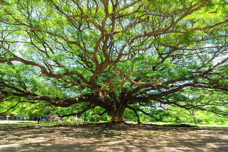 10 Best Family Things to Do in Kanchanaburi - What to Do for Fun in ...