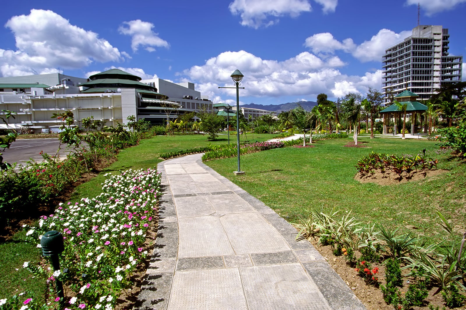 cebu tourist spot at night