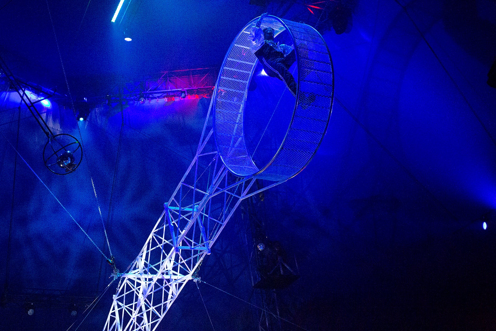 Circus Sarasota Schedule